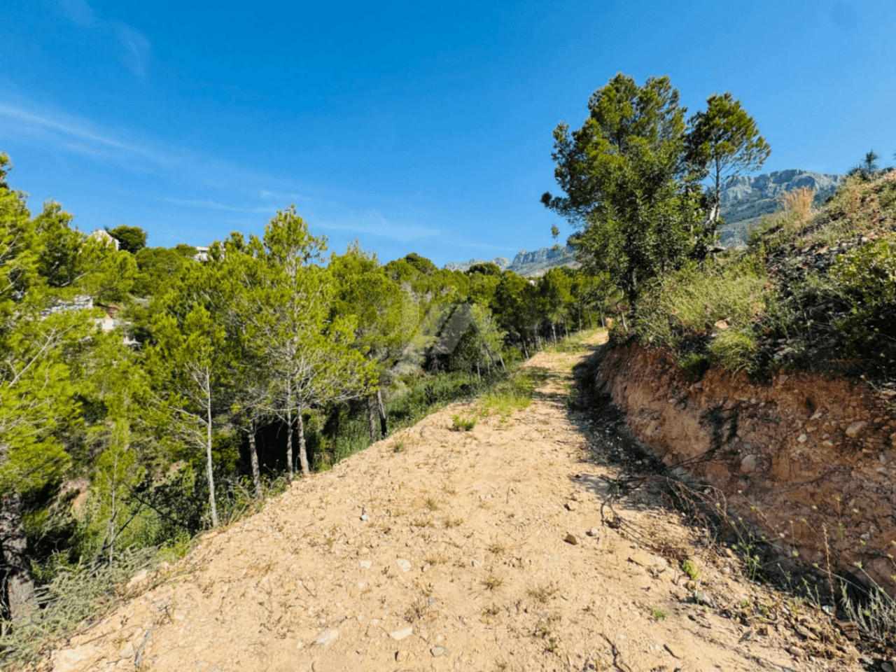 Plot for sale in Altea, Costa Blanca.